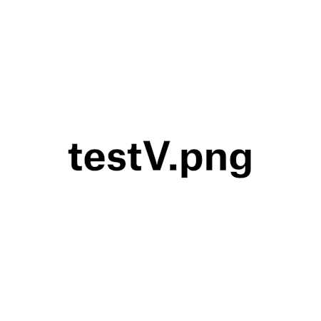 Test V