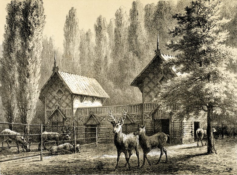 Charles Servais, gebouw voor rendieren, wapiti herten en elanden, 1886 (uitgebreid circa 1890)