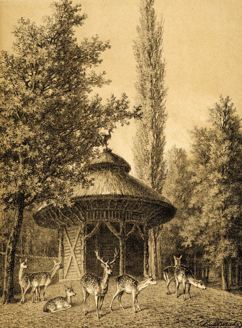 Cabane voor herten, jaren 1850