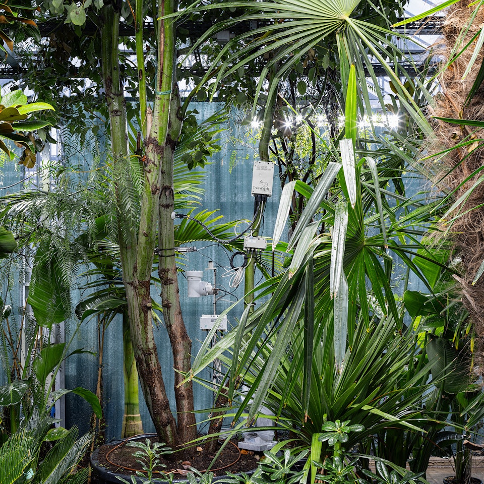 Building Biospheres  - Biennale Architettura 2025 - Bureau Bas Smets - Vlaams Architectuurinstituut (Beeld: Michiel Decleene)